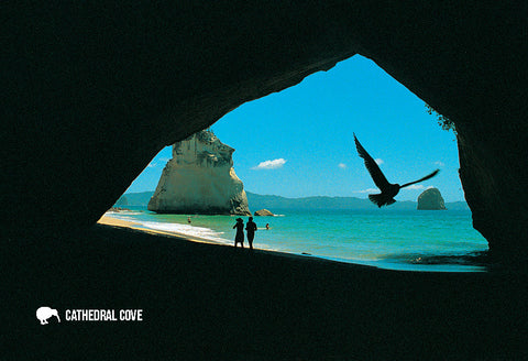 SAU118 - Piha Beach From Lion Rock - Small Postcard