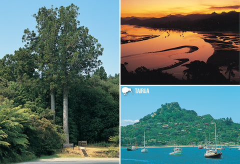 SWA563 - Tairua Coromandel - Small Postcard - Postcards NZ Ltd