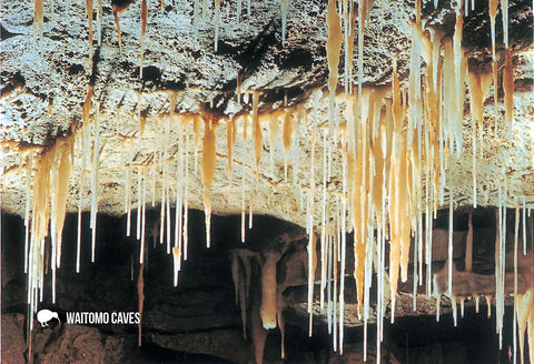 SWC960 - Organ, Waitomo Caves - Small Postcard