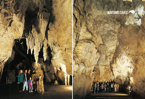 SWC969 - Cathedral Multi, Waitomo Caves - Small Postcard - Postcards NZ Ltd