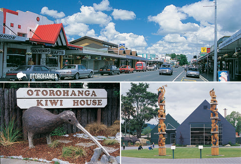 SWC962 - Entrance Catherdral Waitomo - Small Postcard