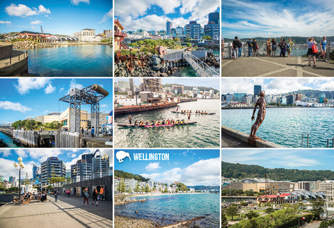 MWG247 - Oriental Bay, Wellington - Magnet