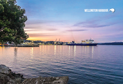 SWG1130 - Bluebridge Ferry Wellington Harbour - Small Postcard