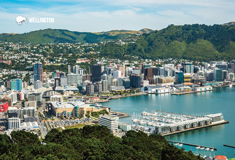 SWG981 - Wellington From Mt Victoria - Small Postcard - Postcards NZ Ltd