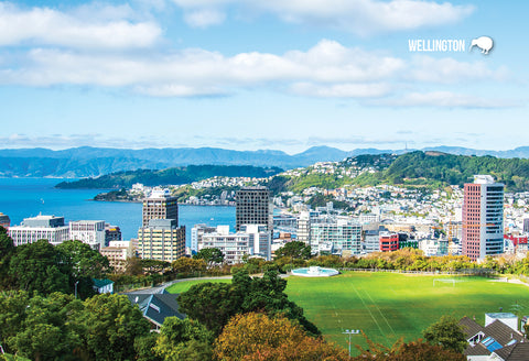 LWG186 - Wellington, Night View - Large Postcard
