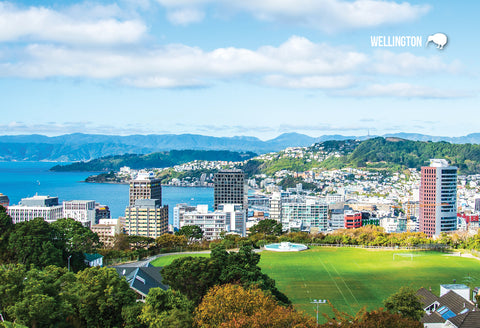 LWG189 - Wellington Cable Car Multi - Large Postcard