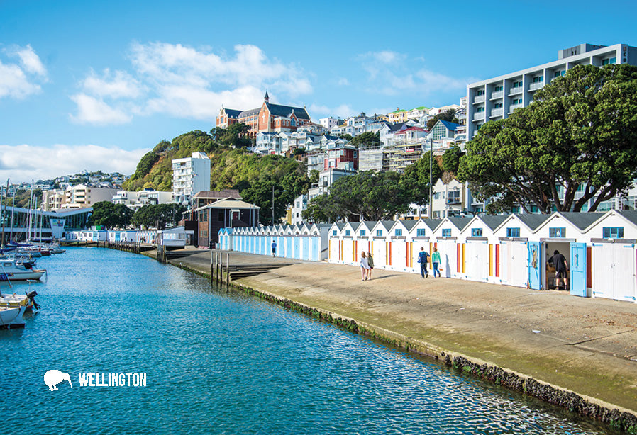 SWG990 - Oriental Bay, Wellington - Small Postcard