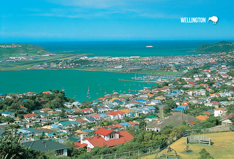 SWG1130 - Bluebridge Ferry Wellington Harbour - Small Postcard