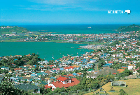 LWG186 - Wellington, Night View - Large Postcard