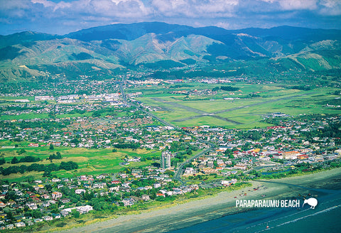 SWG1004 - Oriental Bay, Wellington, Aerial - Small Postcard
