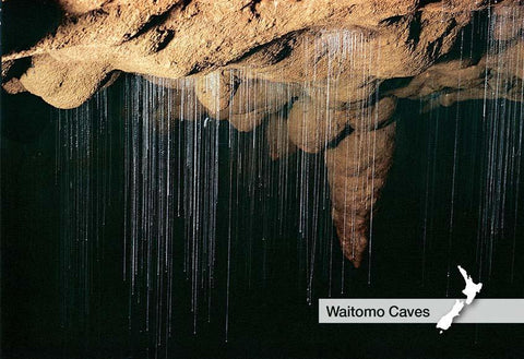 SWC954 - Entrance To Ruakuri Cave - Small Postcard