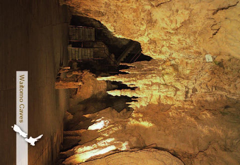 SWC960 - Organ, Waitomo Caves - Small Postcard