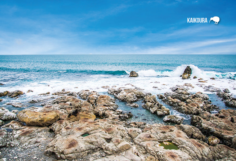 SCA634 - Kaikoura Coast - Small Postcard