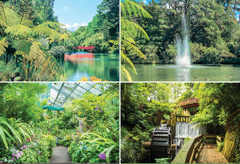 STA79 - Pukekura Park - Small Postcard - Postcards NZ Ltd