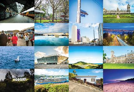 SDN482 - Sights of Dunedin - Small Postcard