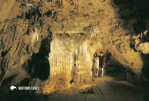 SWC960 - Organ, Waitomo Caves - Small Postcard - Postcards NZ Ltd