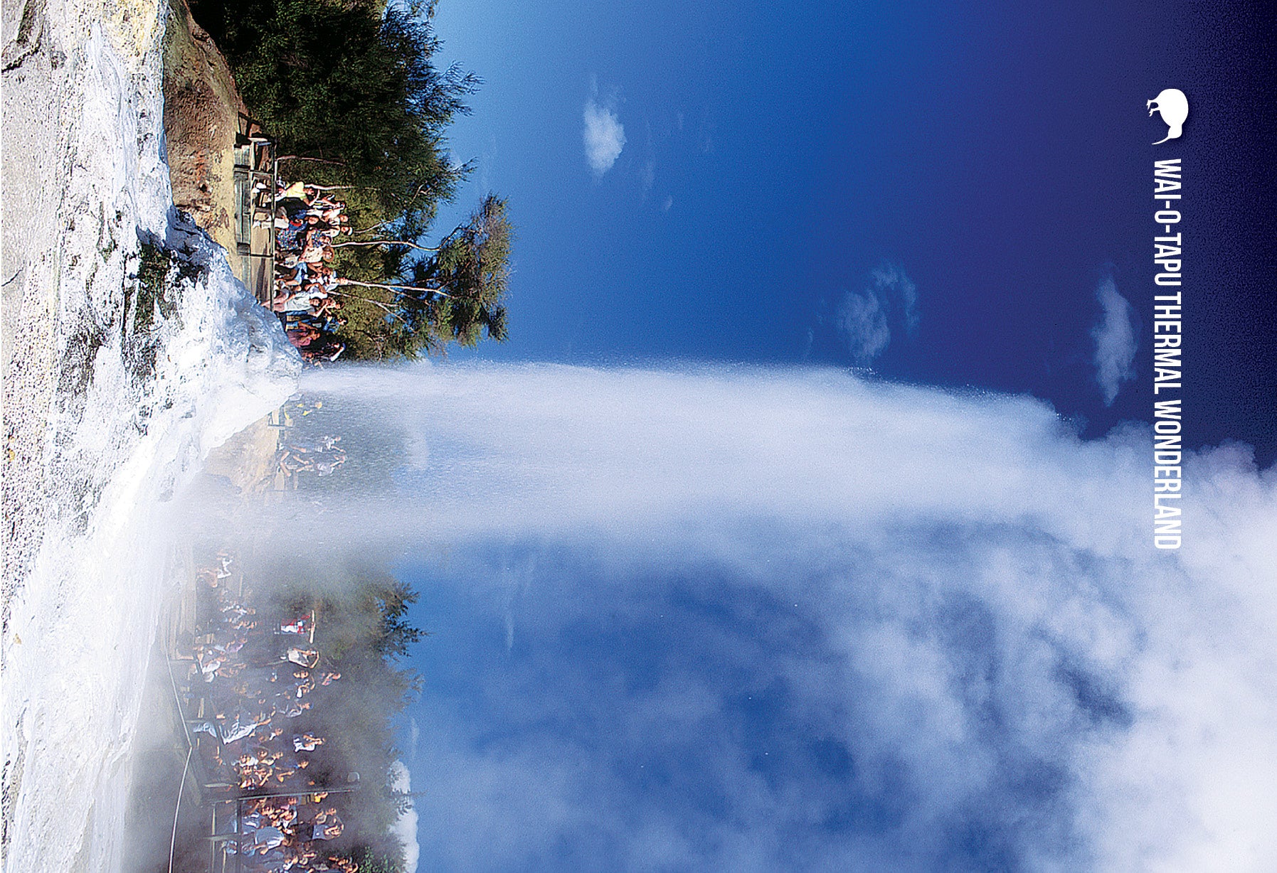 SRO214 - Lady Knox Geyser - Small Postcard