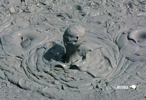 LRO142 - Boiling Mud, Rotorua - Large Postcard - Postcards NZ Ltd