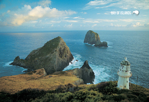 LBI025 - Motukokako  (Hole In The Rock) - Large Postcard