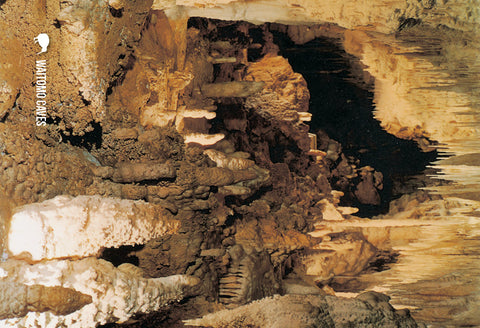 SWC954 - Entrance To Ruakuri Cave - Small Postcard