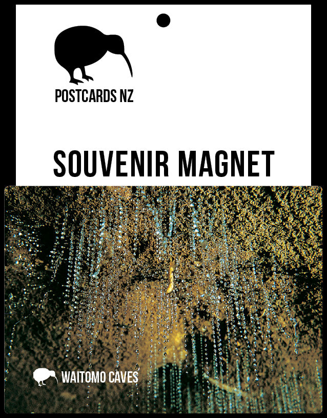 MWC243 - Gloworm Pupa - Magnet
