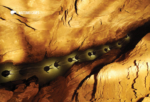 MWC239 - Waitomo Caves - Magnet