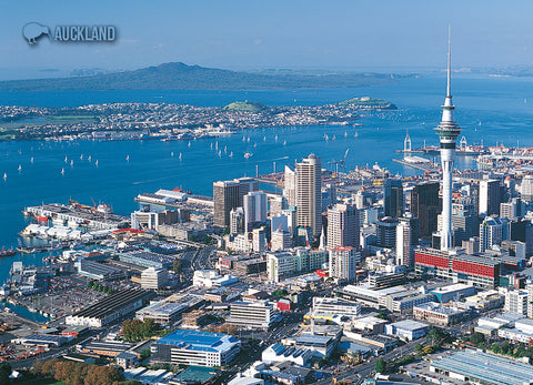 LAU007 - Auckland City & Skytower - Large Postcard