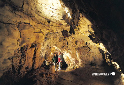 SWC964 - Gloworm Cave Access Point - Small Postcard - Postcards NZ Ltd