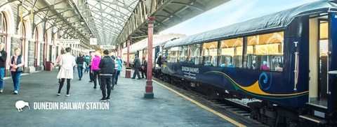 SDN483 - Dunedin Railway Station - Small Postcard