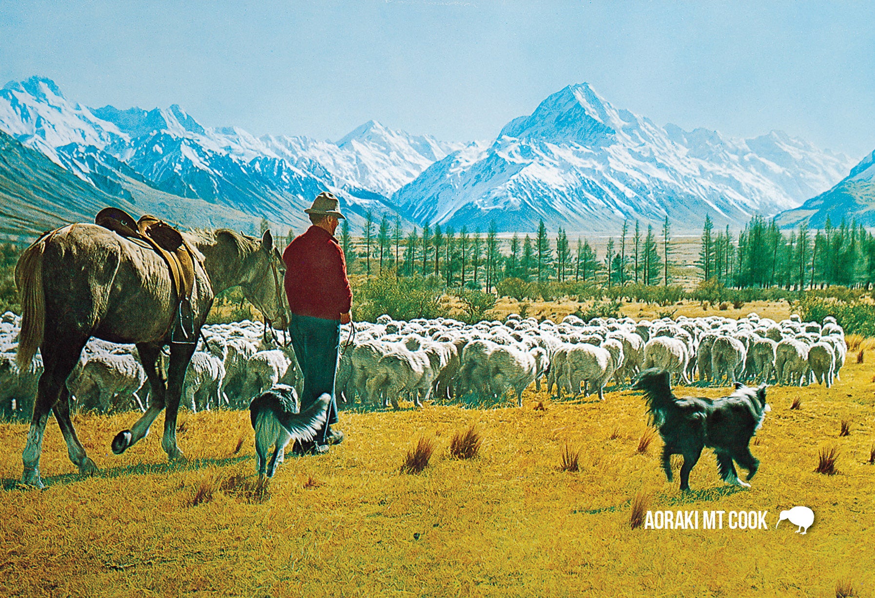 SMC367 - Mustering, Glentanner Station, Mt Cook - Small Pos