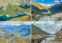 SFI66 - Routeburn Track Multi - Small Postcard - Postcards NZ Ltd