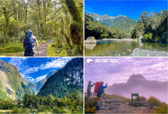 SFI67 - Milford Track - Small Postcard - Postcards NZ Ltd