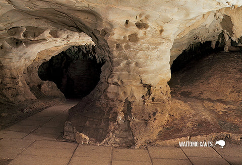 SWC942 - Limestone Straws Waitomo Caves - Small Postcard