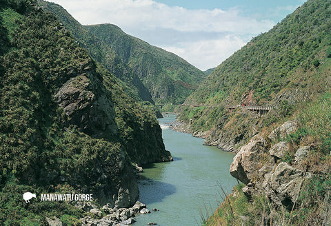 SMW1062 - Wanganui River - Small Postcard