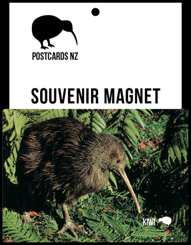 MGI115 - Kiwi - Magnet - Postcards NZ Ltd