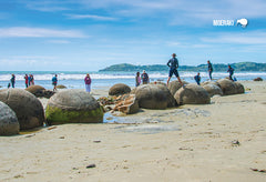 SOT772 - Moeraki Boulders - Small Postcard - Postcards NZ Ltd