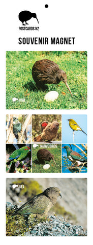 MGI5947 - Native Birds Magnet Set 3 - Postcards NZ Ltd