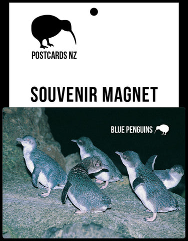 MGI093 - Yellow Eyed Penguin - Magnet