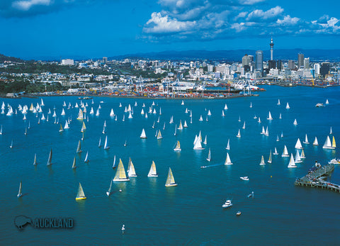 LAU005 - Auckland City & Waitemata Harbour - Large Postcard - Postcards NZ Ltd