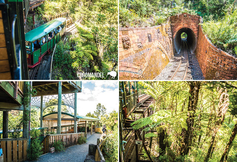 SWA25 - Driving Creek Railway, Coromandel - Small Postcard - Postcards NZ Ltd
