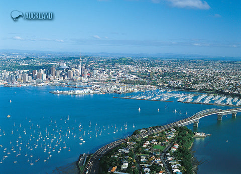 LAU002 - Auckland Harbour Bridge - Large Postcard - Postcards NZ Ltd
