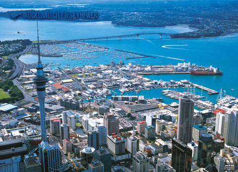 LAU007 - Auckland City & Skytower - Large Postcard - Postcards NZ Ltd