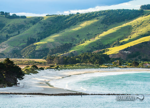 LDN053 - Shelly Beach, Aramoana, Dunedin - Large Postcard - Postcards NZ Ltd