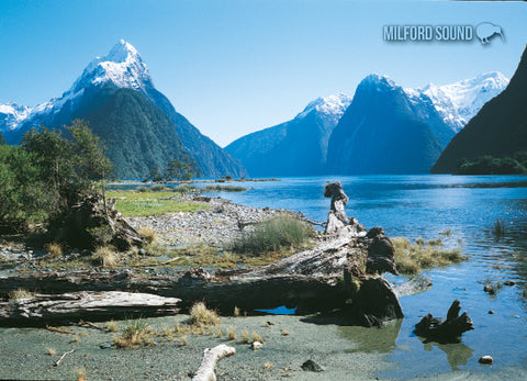 LFI063 - Milford Sound - Large Postcard - Postcards NZ Ltd