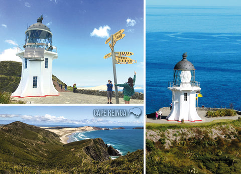 LMC097 - Mt Cook & Lupins - Large Postcard