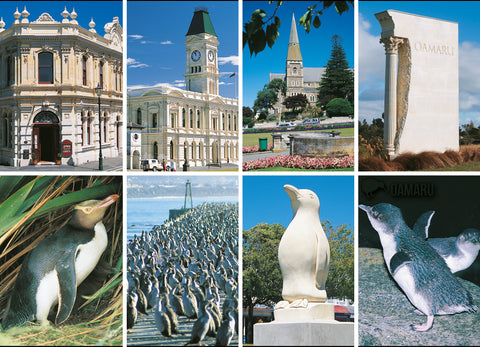 LOT123 - Oamaru - Blue Penguin Capital Of Nz - Large Postcard - Postcards NZ Ltd