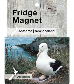 MDN087 - Northern Royal Albatross - Magnet - Postcards NZ Ltd