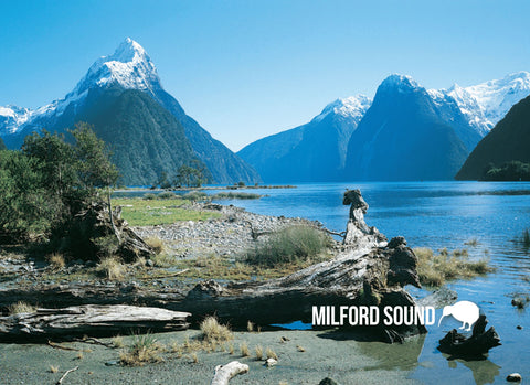 MFI290 - Milford Sound - Magnet