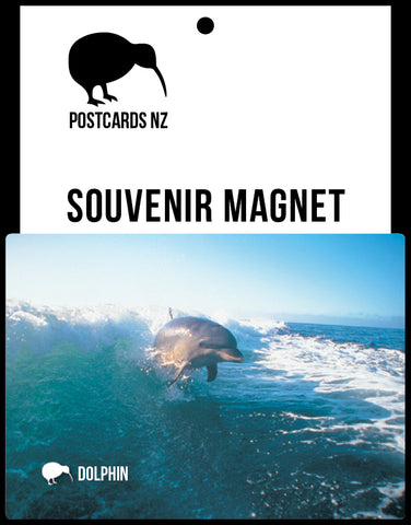 MGI092 - Dolphin - Magnet - Postcards NZ Ltd