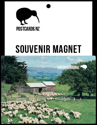 SGI512 - Sheep Scene - Small Postcard